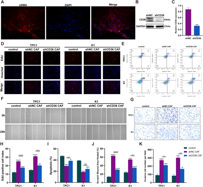PMC11163752 – Fig6