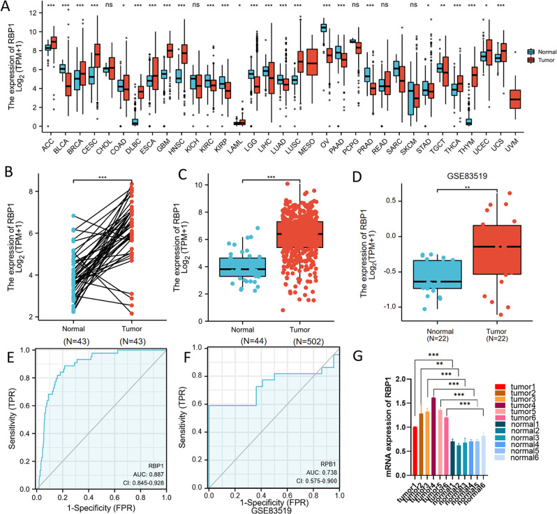 PMC11476480 – Fig1