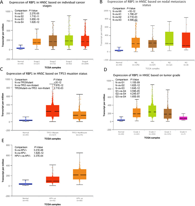 PMC11476480 – Fig2