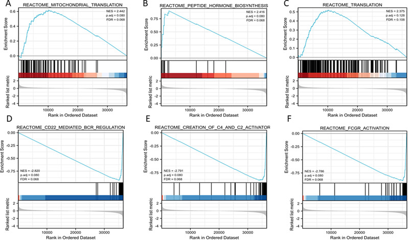 PMC11476480 – Fig4