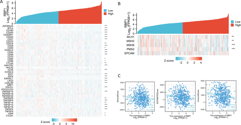 PMC11476480 – Fig6
