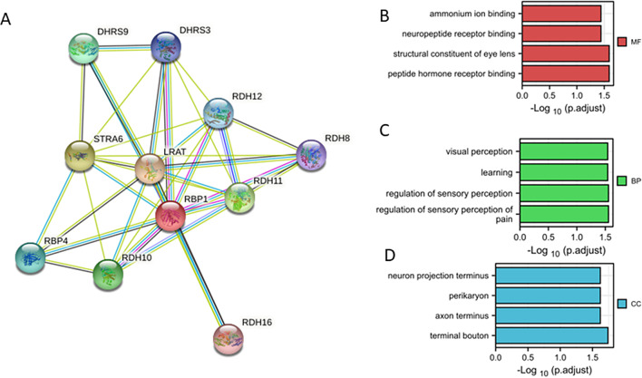 PMC11476480 – Fig7