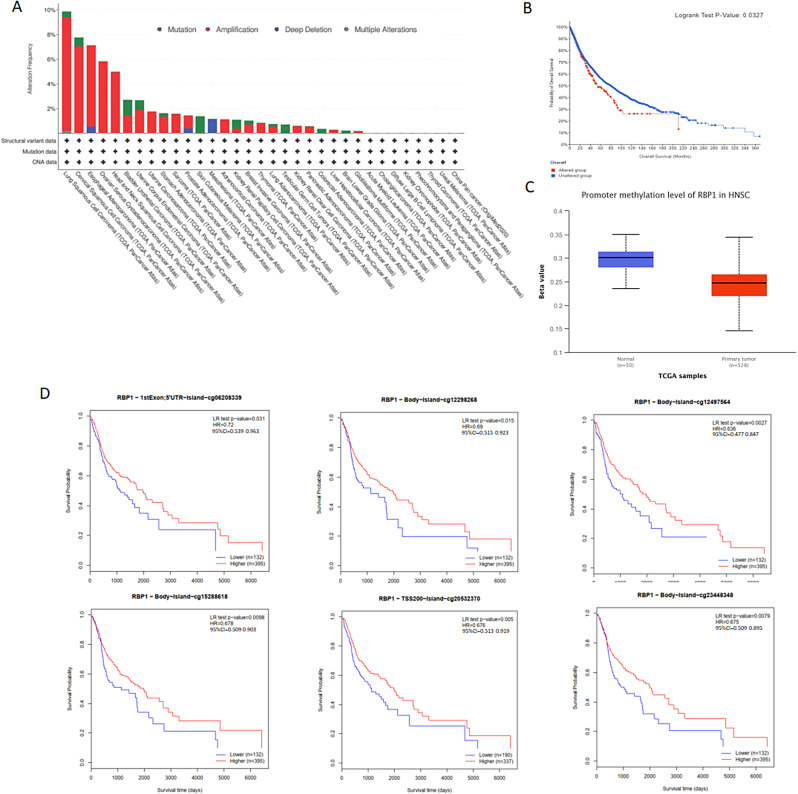 PMC11476480 – Fig8