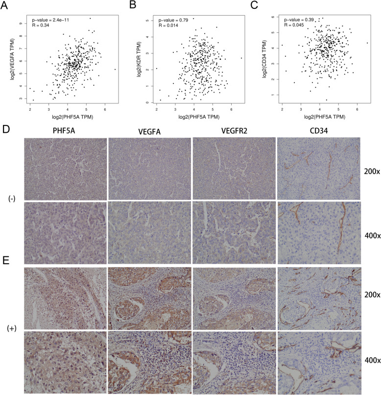 PMC11264801 – Fig10