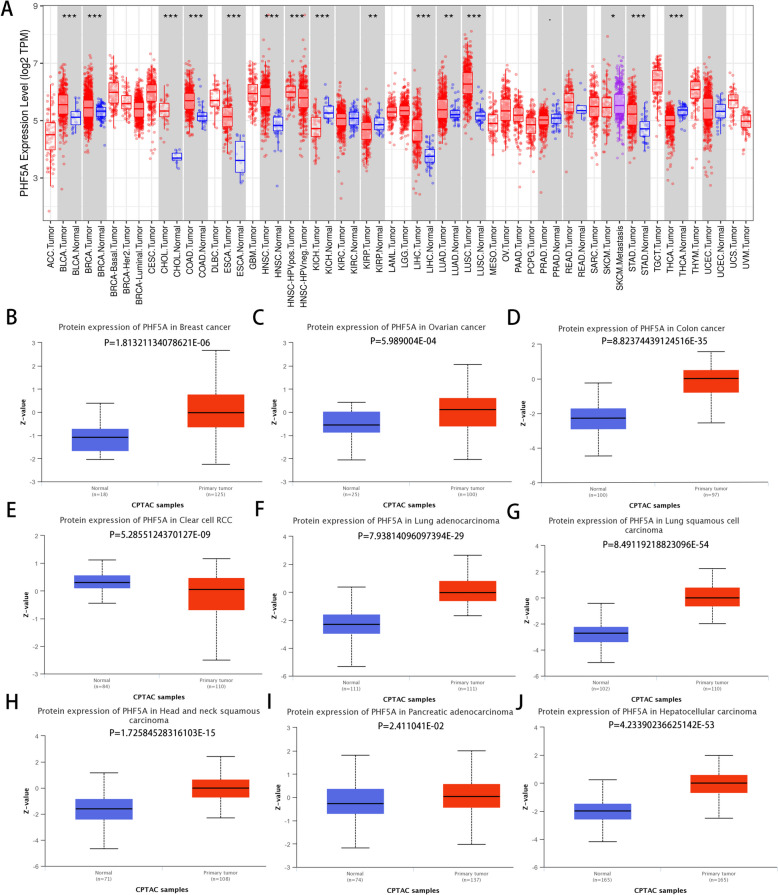 PMC11264801 – Fig1