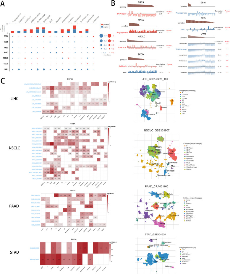 PMC11264801 – Fig4