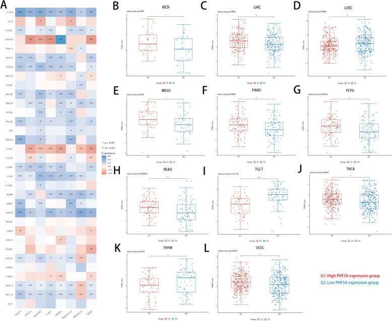 PMC11264801 – Fig6