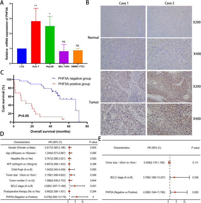 PMC11264801 – Fig7
