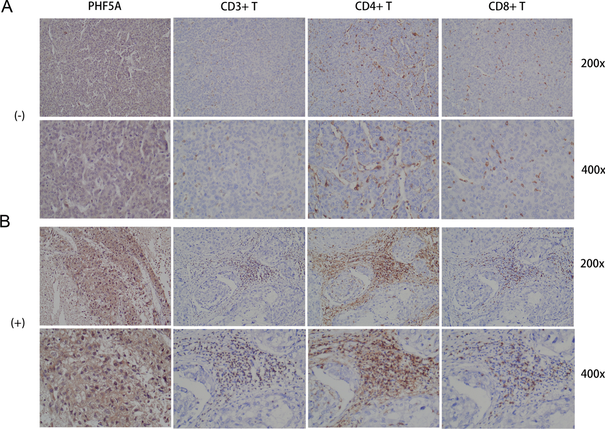 PMC11264801 – Fig8