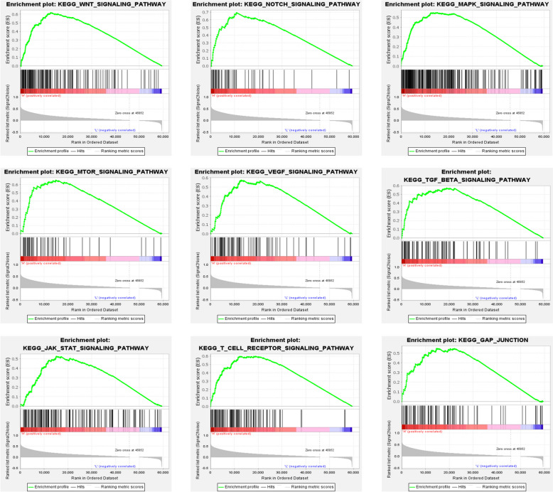 PMC11264801 – Fig9