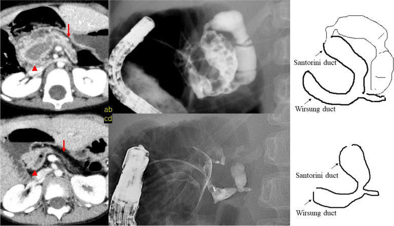 PMC8919614 – Fig3