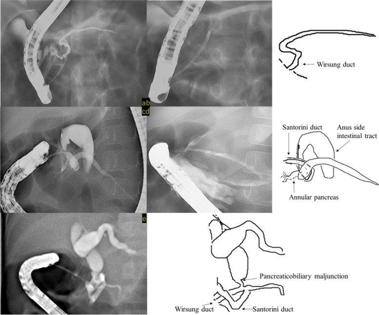PMC8919614 – Fig4