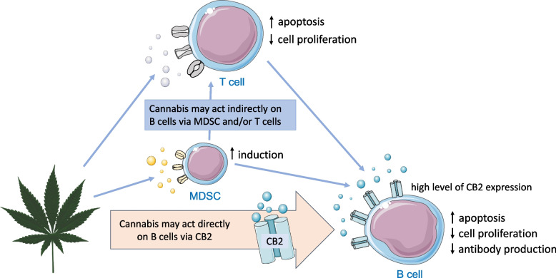 PMC11468367 – Fig3