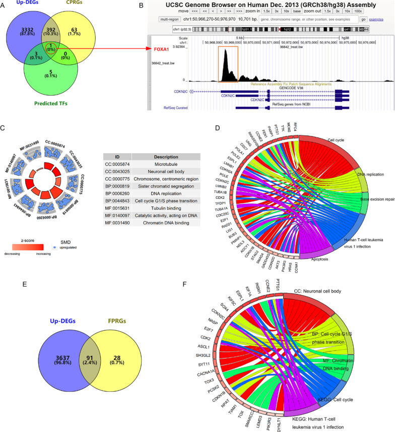 PMC9233395 – Fig4