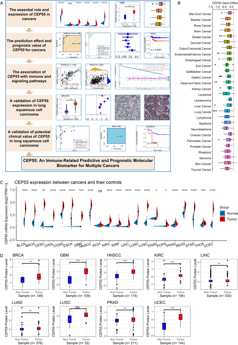 PMC10182662 – Fig1