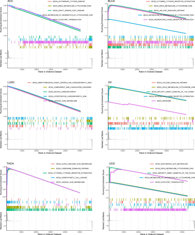 PMC10182662 – Fig7