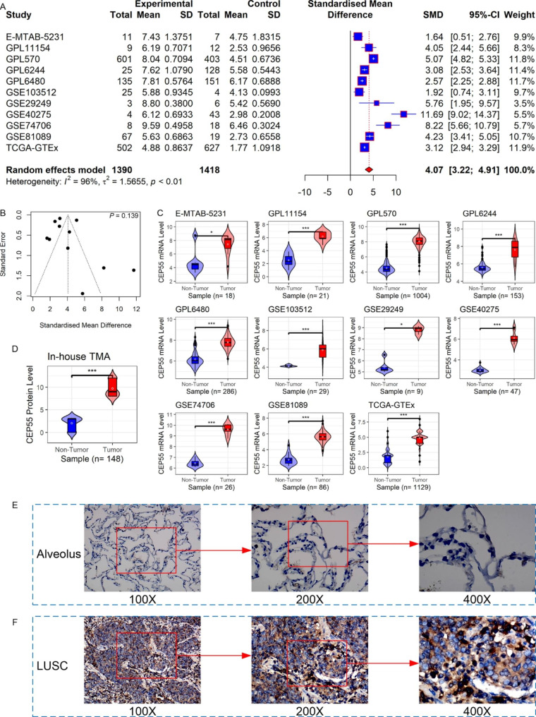 PMC10182662 – Fig8