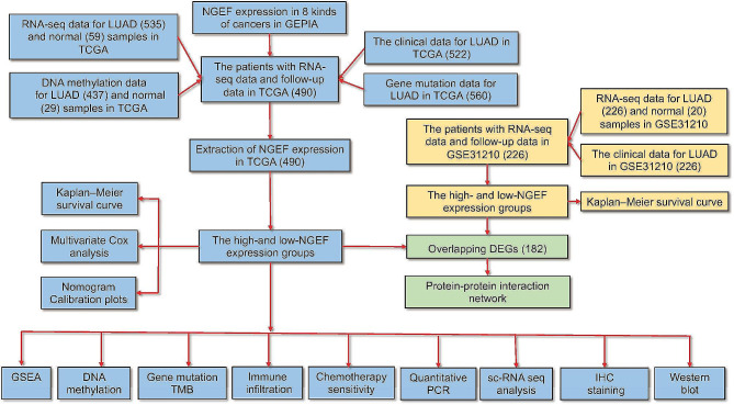 PMC11102621 – Fig1