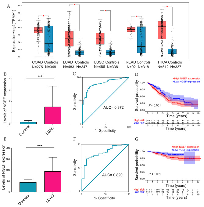 PMC11102621 – Fig2