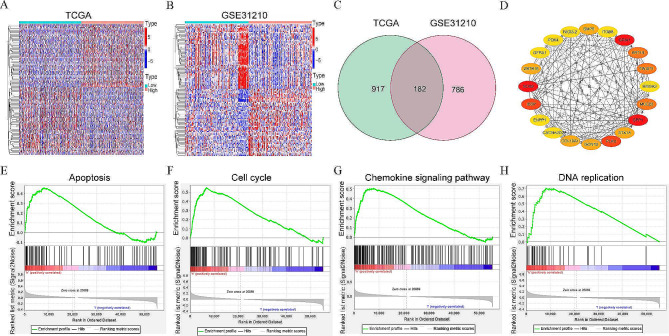 PMC11102621 – Fig4