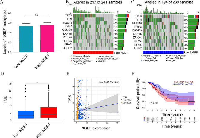 PMC11102621 – Fig5