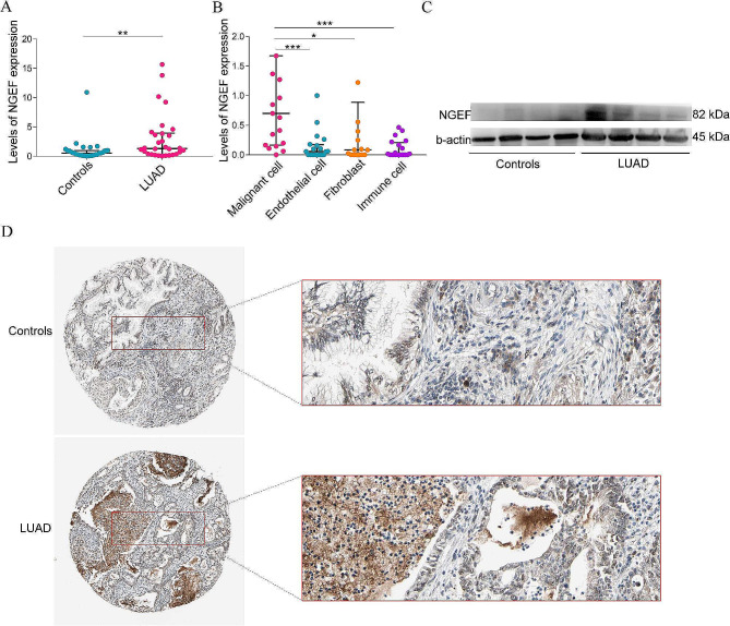 PMC11102621 – Fig8