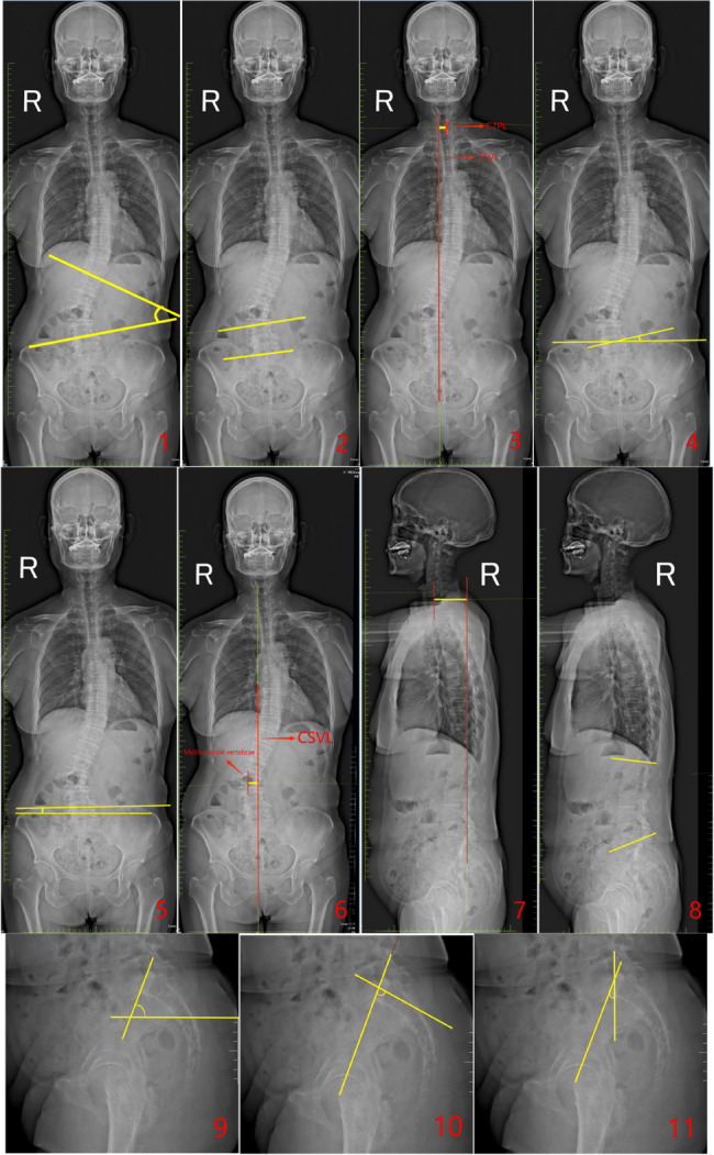 PMC12506023 – Fig1
