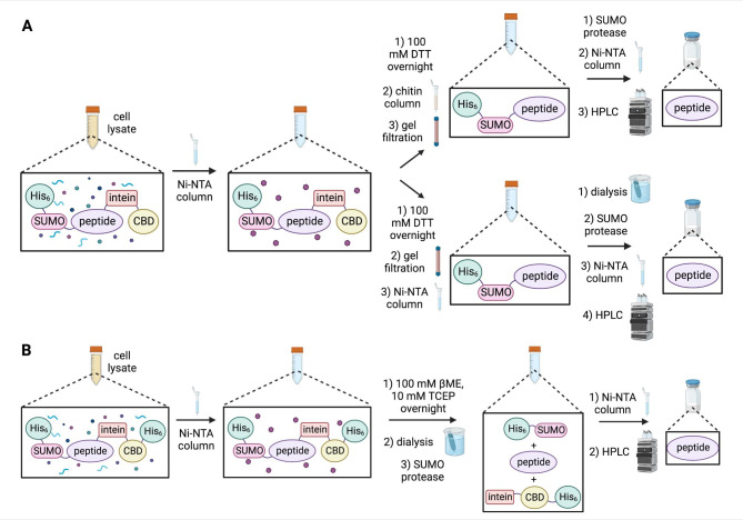 PMC10074672 – Fig2