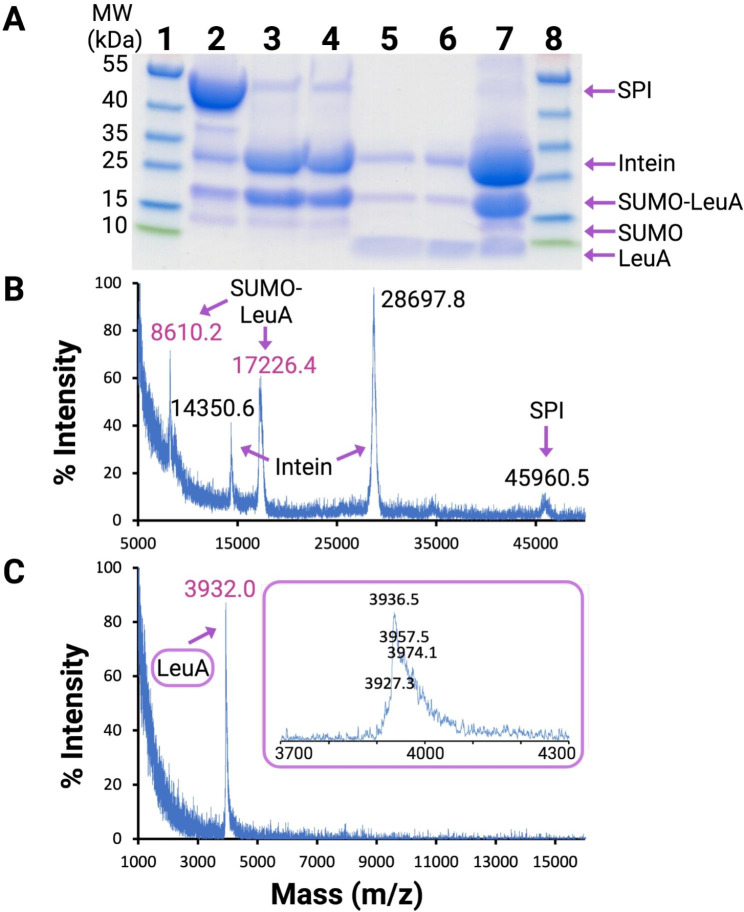 PMC10074672 – Fig3