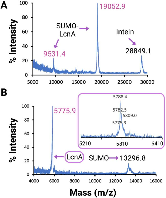 PMC10074672 – Fig4
