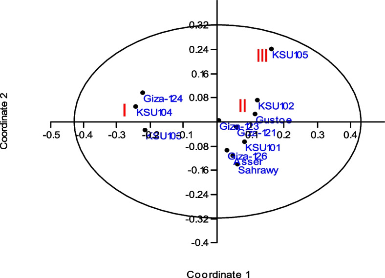 PMC11167802 – Fig3