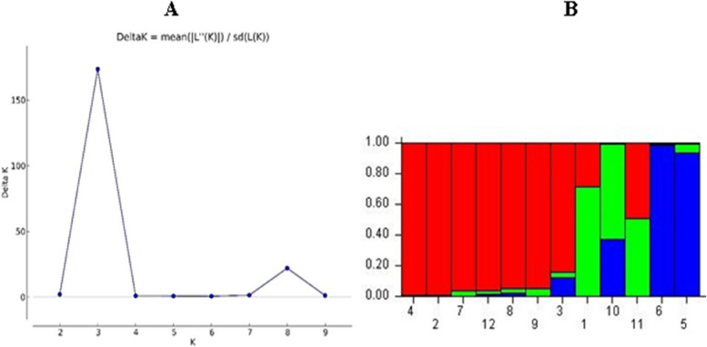 PMC11167802 – Fig4