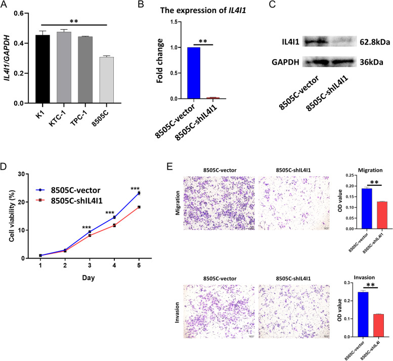 PMC10334563 – Fig6