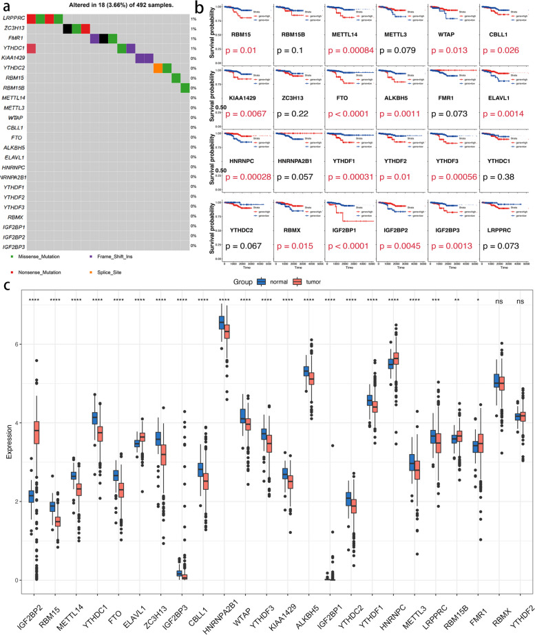 PMC10699001 – Fig1