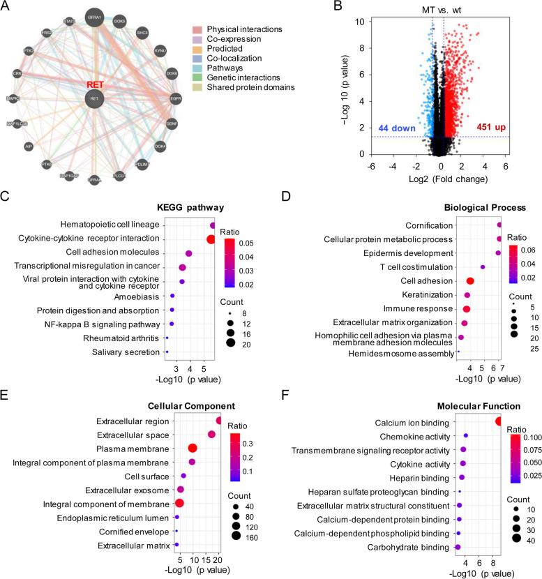 PMC11088169 – Fig5
