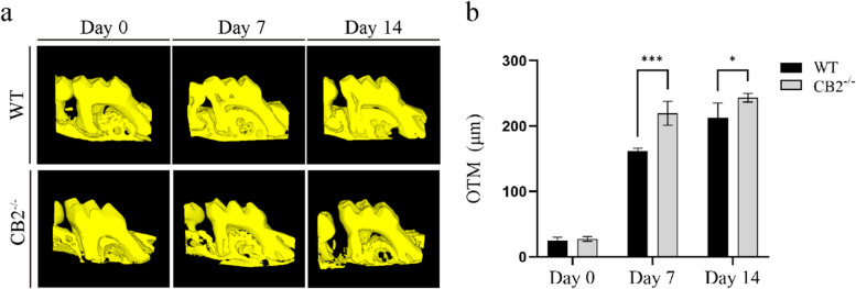 PMC10768142 – Fig3