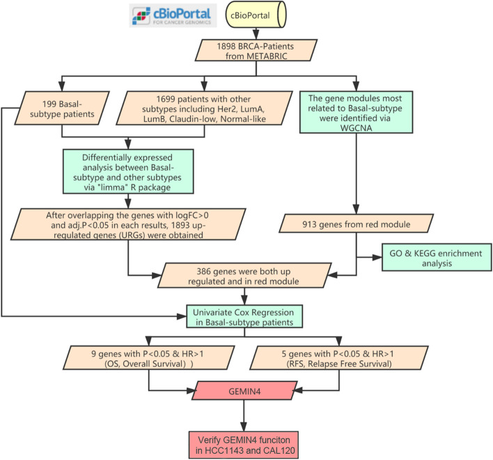 PMC10386636 – Fig1