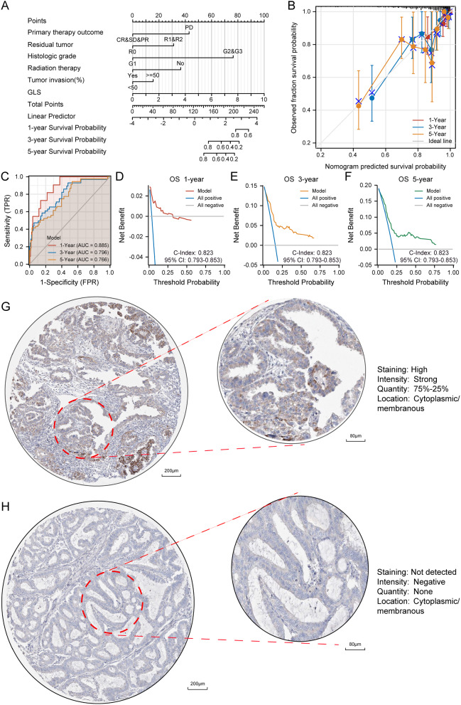 PMC10988933 – Fig13