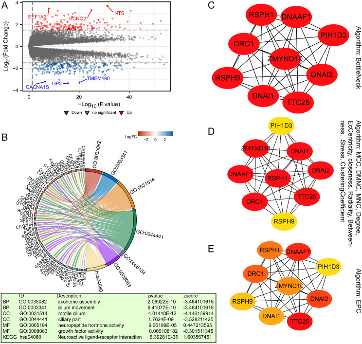 PMC10988933 – Fig16
