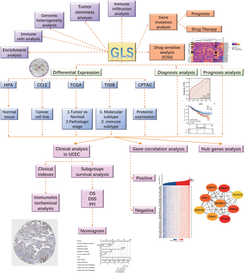 PMC10988933 – Fig1