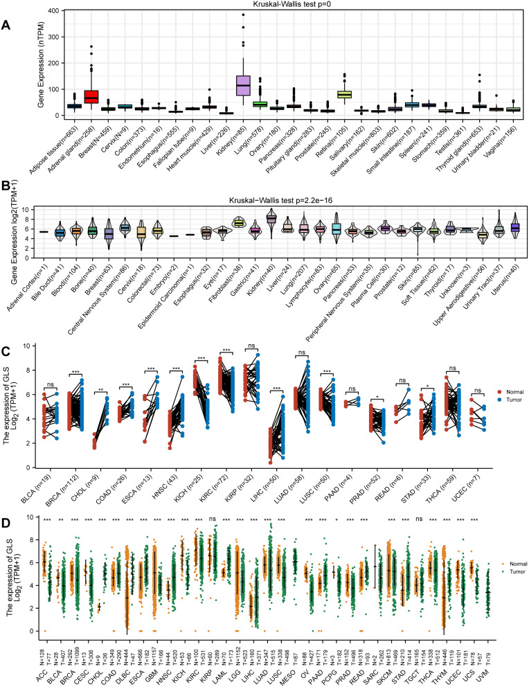 PMC10988933 – Fig2