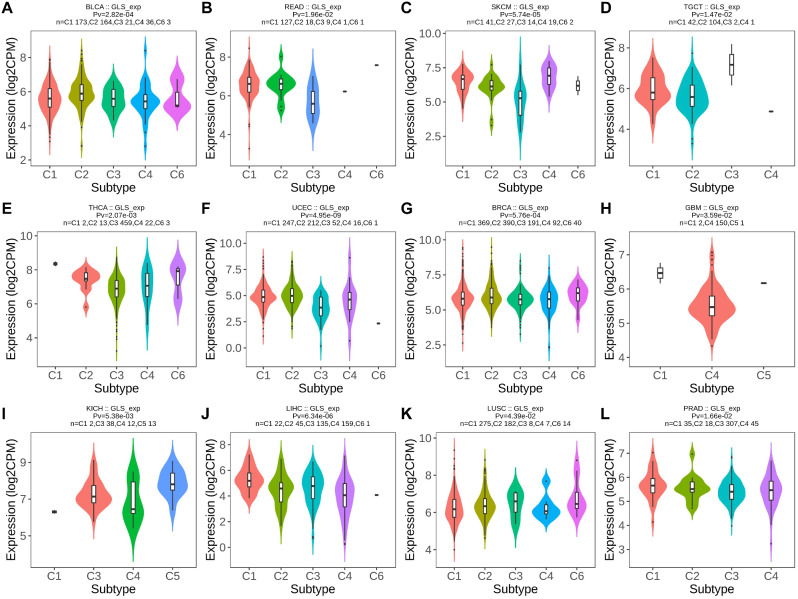PMC10988933 – Fig5