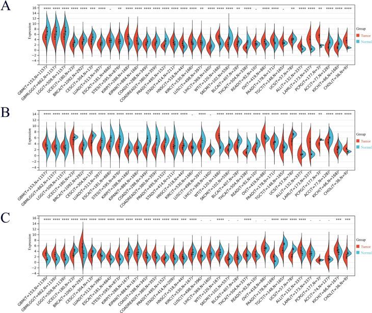 PMC10759623 – Fig6