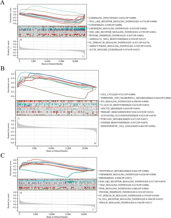 PMC10759623 – Fig9