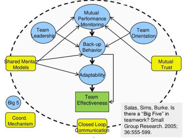 PMC11796261 – Fig1