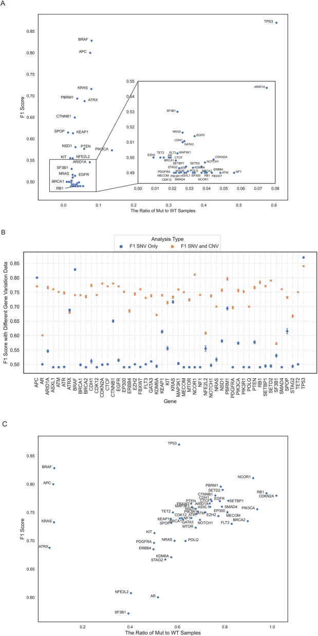 PMC12329921 – Fig1