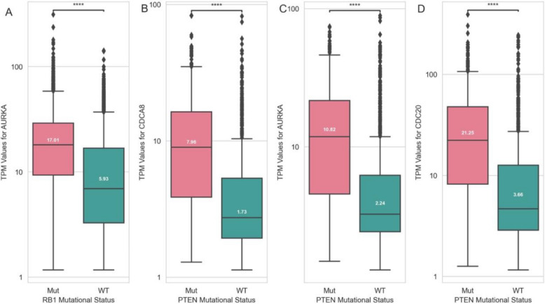 PMC12329921 – Fig7