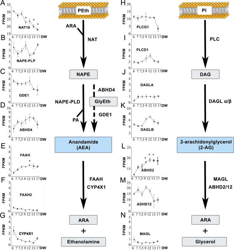 PMC10334520 – Fig1