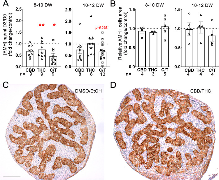 PMC10334520 – Fig6