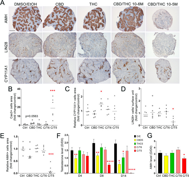 PMC10334520 – Fig8